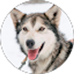 Profile photo of Joy Marx