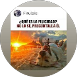 Profile photo of Maria Enriqueta Villalba