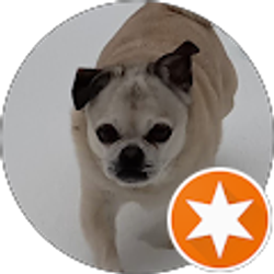 Profile photo of Julie Moheit