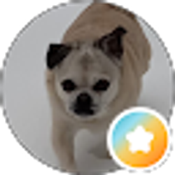 Profile photo of Julie Moheit