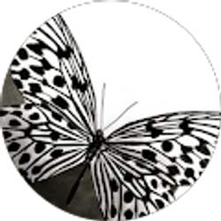 Profile photo of Jasmine Camp