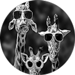 Profile photo of Nikki Cummins