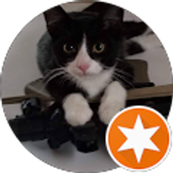 Profile photo of Mike