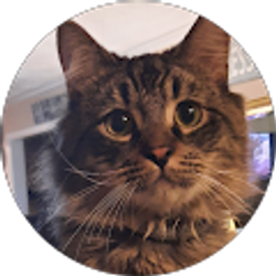 Profile photo of Laura Brisson