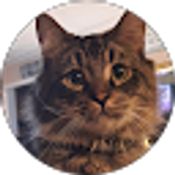 Profile photo of Laura Brisson