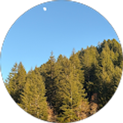 Profile photo of audrey ward