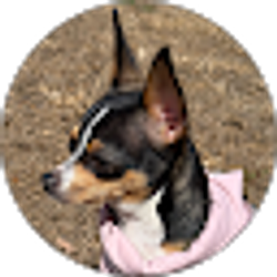 Profile photo of Maria