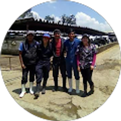 Profile photo of SILVERIO MEJIA