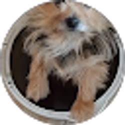 Profile photo of Malgorzata Hodurek