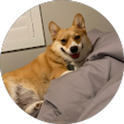 Profile photo of Bella