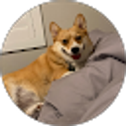 Profile photo of Bella