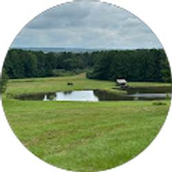 Profile photo of Jim Ellis