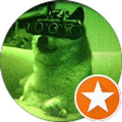 Profile photo of Joey Kim