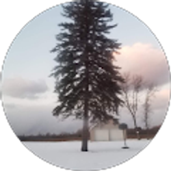 Profile photo of Mercedes Trevino