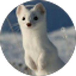 Profile photo of RicardoGames 02