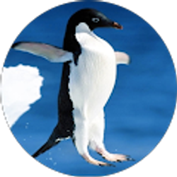 Profile photo of Cooper Long