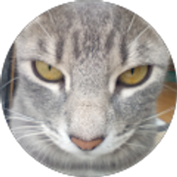 Profile photo of Alex Nitz