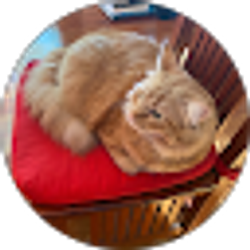 Profile photo of Tommaso M Framba
