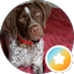 Profile photo of shaylephyreYT