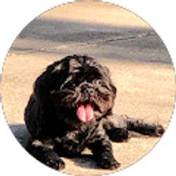Profile photo of Natalie Couvillion