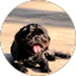 Profile photo of Natalie Couvillion