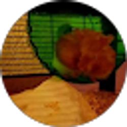 Profile photo of Tanzie86