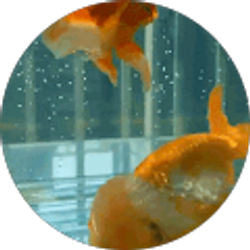 Profile photo of Allyson Russell
