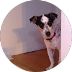 Profile photo of Maria D'Ornellas