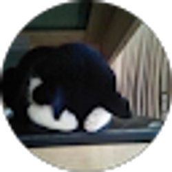 Profile photo of Maika Cao