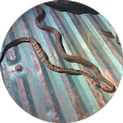 Profile photo of j b