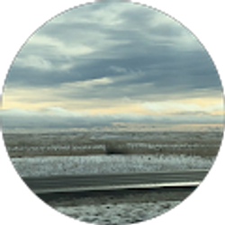 Profile photo of Olivia Davis