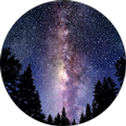 Profile photo of Diego Ruiz