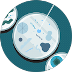 Profile photo of Nikki Waddle