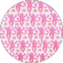 Profile photo of Kim White