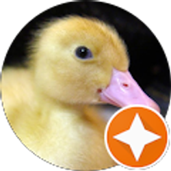 Profile photo of Olga Ol