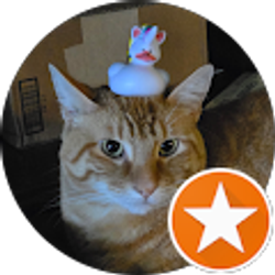 Profile photo of Angelina Murillo