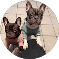 Profile photo of Maria Garcia