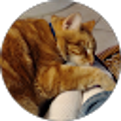 Profile photo of Dawna Rhods