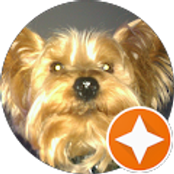 Profile photo of IMQ2 (IMQ2)