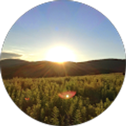 Profile photo of Abigail Thomas