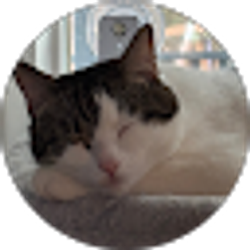 Profile photo of Ollie
