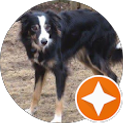 Profile photo of Mary Mendel