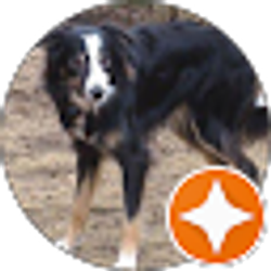 Profile photo of Mary Mendel