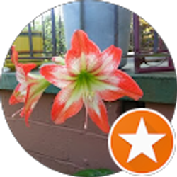 Profile photo of Ytinu Jzar