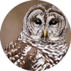 Profile photo of Anita H