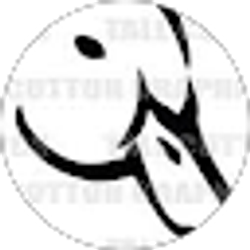 Profile photo of Chance Austin