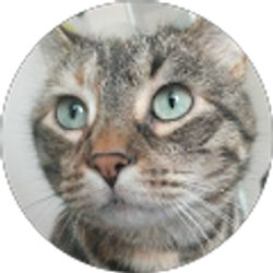 Profile photo of Claudia Valles