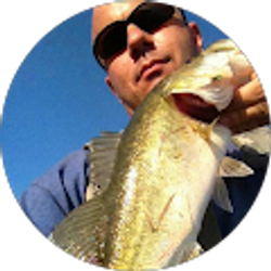 Profile photo of Rainey Council