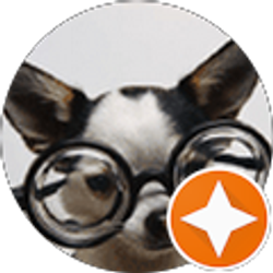 Profile photo of Marcos