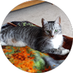 Profile photo of Doreen DennisBurns